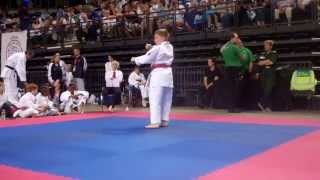 GKR Karate World Cup 2015 KIERAN DUNCAN Kata Bassai Dai [upl. by Qerat]