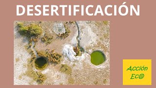 La lucha contra la desertificación [upl. by Fitting]