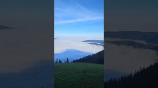 Am Wallberg bei Nebel [upl. by Hukill]