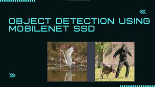 Object Detection using MobileNet SSD [upl. by Yrennalf]