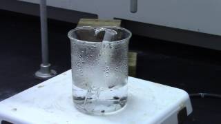 Lab 1 Recrystallization [upl. by Laeynad496]