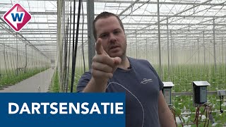 Dartsensatie Dirk van Duijvenbode staat weer gewoon tussen de aubergines  OMROEP WEST [upl. by Eugenle298]