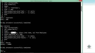 Oracle  PLSQL  Getting Started [upl. by Euridice316]