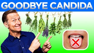 Say Goodbye to Candida The Best Ways to Cure It Permanently [upl. by Husain]