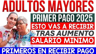 💥LO DEBES MIRAR ADULTOS MAYORES EL PRÓXIMO AUMENTO DE LAS PENSIONES 2025 BENEFICIARÁ A TODOS💥 [upl. by Kiyohara14]