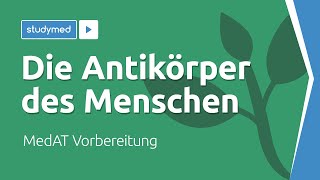 Die Antikörper des Menschen  MedAT Vorbereitung [upl. by Kannan]