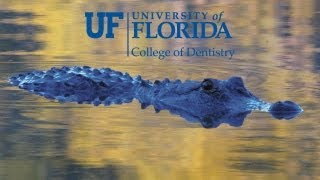 University of Florida College of Dentistry Virtual Tour [upl. by Partridge898]