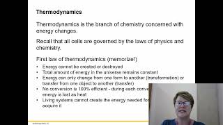 BIOL 1406 Chapter 6 Part 2 [upl. by Ylekalb755]