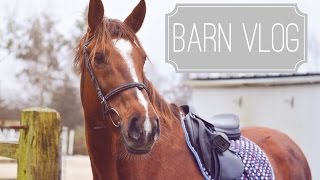 Barn Vlog  Were Back Riding [upl. by Naryb180]