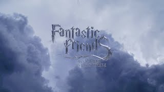 Fantastic Friends  Harry Potter Prior incantatem  Harry Potter After Effects VFX [upl. by Bland]