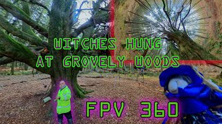 360VR Witches were Hung here at Handsel Trees Grovely Wood [upl. by Nanreik]