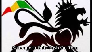 Salmonella Dub  Push On Thru [upl. by Siocnarf]