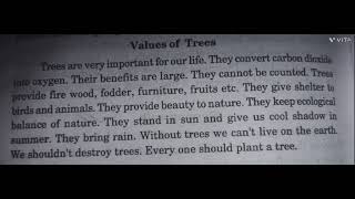 VALUES OF TREEPARAGRAPH ON VALUES OF TREE [upl. by Alahcim]