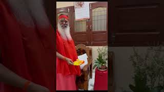 Pujya Swamiji offers Arati to Tulasi plant on Utthana Dvadashi at Jagdalpur town Chattisgarh state [upl. by Haraz820]