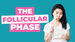 What is the follicular phase Understanding your cycle when you’re TTC [upl. by Inalawi395]