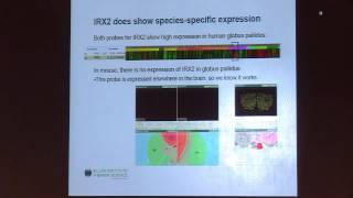 July 16 2013  How WGCNA Can be Used to Compare and Contrast Two Networks [upl. by Aitnyc963]