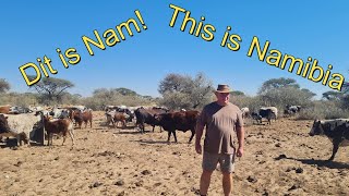 Oppie Plaas  Wat nou Namibia 2024 The Farm 2 [upl. by Mandy695]