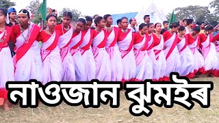 Maa Baba New jhumoir song At naojan adarsh gaon ঝুমইৰ jhumoor ঝুমুর jumur [upl. by Oby]