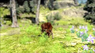 Lets Play Ep 02 Cabelas Big Game Hunter 2010 [upl. by Narad]