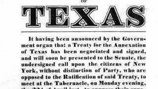 Texas Annexation [upl. by Lowney]