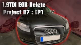 Audi A4 EGR Delete  Blanking plates  B7 EP1 [upl. by Fabrin354]