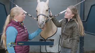 De Flexineb voor sportpaarden Rieky Young deelt haar ervaring met Feline Hoi  Liefde voor paarden [upl. by Sabanrab]