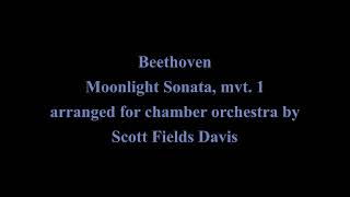 Beethoven Moonlight Sonata mvt 1 arranged for chamber orchestra [upl. by Yrreg]