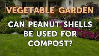 Can Peanut Shells Be Used for Compost [upl. by Hsur]