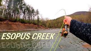 ESOPUS CREEK Fly Fishing  Catskill Mountains NY [upl. by Lanaj829]