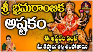 శ్రీ భ్రమరాంబిక అష్టకం  Sri Bhramarambika Ashtakam  Mounika Devotional  bhramarambika [upl. by Caiaphas760]