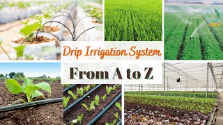 Drip Irrigation System Working Model 2024 [upl. by Leciram996]