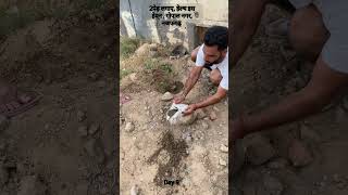 Day 9 plant a tree drive in najafgarh earthclimatechange climatechange trees [upl. by Sivrat]