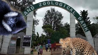 Nagaland Dimapur Zoological Nature trail 🌷🌸 [upl. by Ecnar]