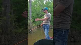 Daytime Bowfishing in WEST TN [upl. by Norita151]