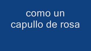 karaoke como un capullo de rosas [upl. by Langley]