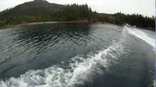 Mokai Kayaking at Eshamy Bay Lodge  Alaska [upl. by Meelak]