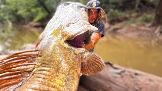 GIANT CATFISH CAUGHT IN UNEXPLORED CREEK OKLAHOMA [upl. by Hajar]