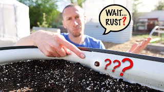 The Ugly Truth about Raised Beds [upl. by Le19]