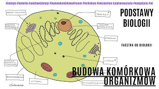 Budowa komórki roślinnej  Budowa komórki zwierzęcej  Budowa komórki bakteryjnej  Cytologia [upl. by Harned]