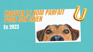 Nom de chien en U pour 2023 [upl. by Allemaj]