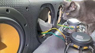 Teardown Bowers amp Wilkins speaker  Whats Inside [upl. by Nomled443]