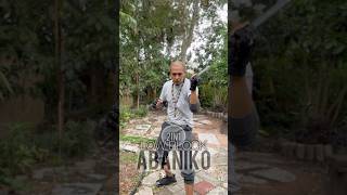 Eskrima Tutorial 2in1 ” Low Block Abaniko technique  How to Martial Arts Weapons FMA slow mo [upl. by Mona]