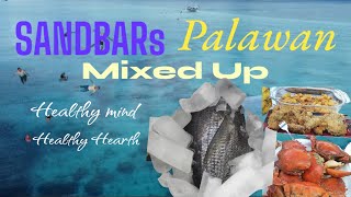 White SandBars trending viralvideo seafood travel natureslover freshmindset love [upl. by Enerod452]