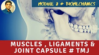 MUSCLES LIGAMENTS amp JOINT CAPSULE Temporomandibular Joint Biomechanics [upl. by Hadeis]