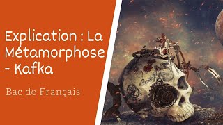 Explication de La Métamorphose de Kafka [upl. by Erinn]