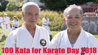 100 Kata for Karate Day 2018 [upl. by Yrred629]