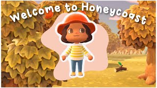 Resetting My Island Part 1  Animal Crossing New Horizons [upl. by Iroc]