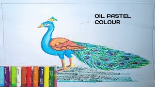 How to Draw a Peacock in easy wayoil pastel colour peacock [upl. by Neemsay]