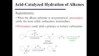 AcidCatalyzed Hydration of Alkenes [upl. by Ailana]