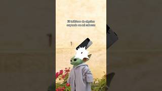 Le importaba más tener la razón 😭😂 créditosIB devdaria humor meme babyyoda caida [upl. by Pega14]